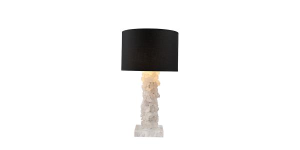 FT1829-1 LIGHT