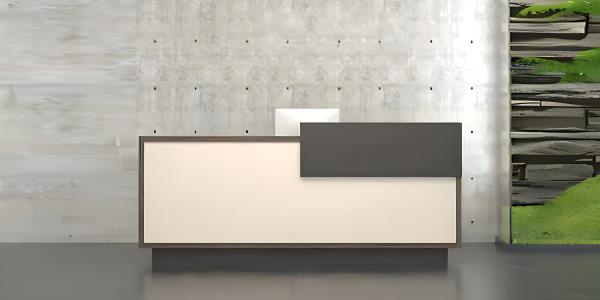 LI-18 DESK